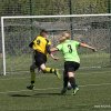 lfc 07 ii - bsv 30.04.2017  10